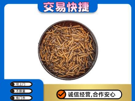 曲松县回收散虫草
